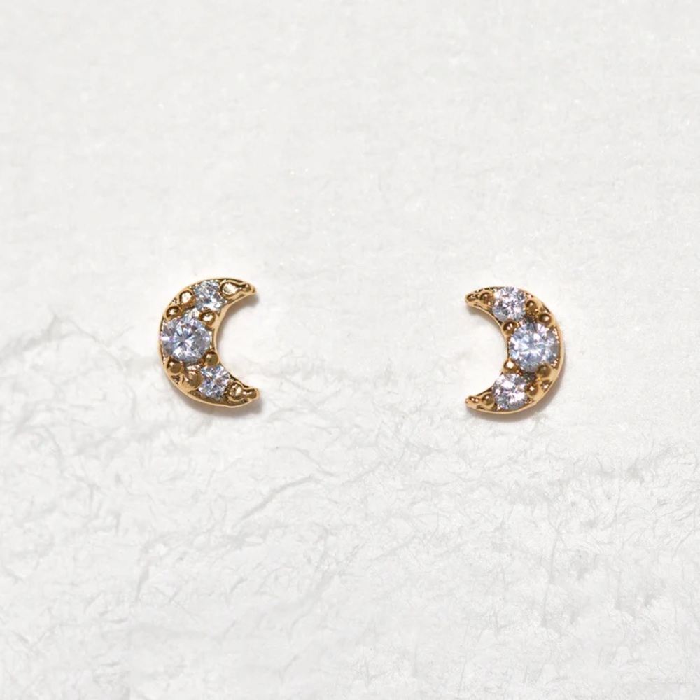 Gold and Silver Crescent Moon Earrings